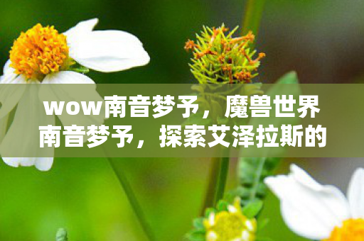 wow南音梦予,魔兽世界南音梦予,探索艾泽拉斯的梦幻之旅 wow南音梦予,魔兽世界南音梦予,探索艾泽拉斯的梦幻之旅