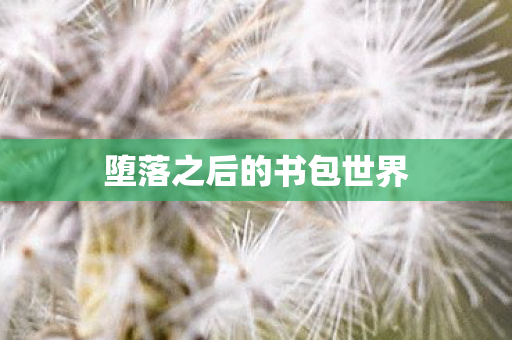 堕落之后的书包世界 堕落之后的书包世界