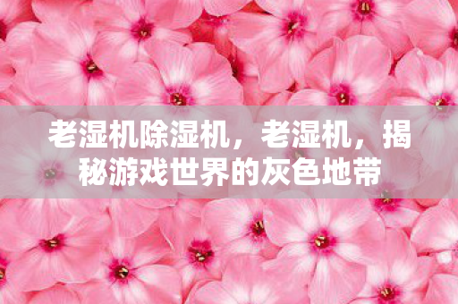 老湿机除湿机,老湿机,揭秘游戏世界的灰色地带 老湿机除湿机,老湿机,揭秘游戏世界的灰色地带