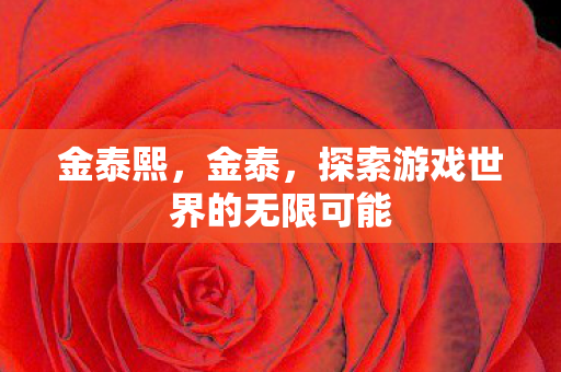 金泰熙，金泰，探索游戏世界的无限可能