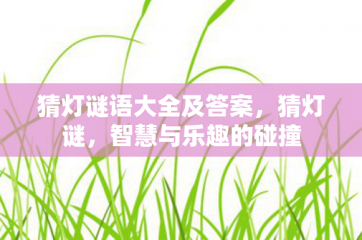 猜灯谜语大全及答案，猜灯谜，智慧与乐趣的碰撞