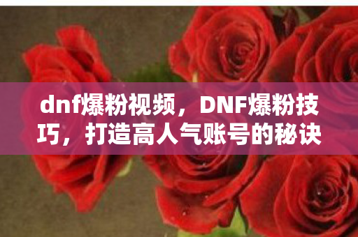 dnf爆粉视频，DNF爆粉技巧，打造高人气账号的秘诀
