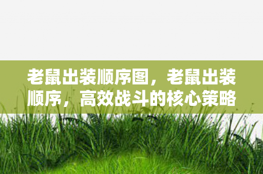 老鼠出装顺序图,老鼠出装顺序,高效战斗的核心策略 老鼠出装顺序图,老鼠出装顺序,高效战斗的核心策略