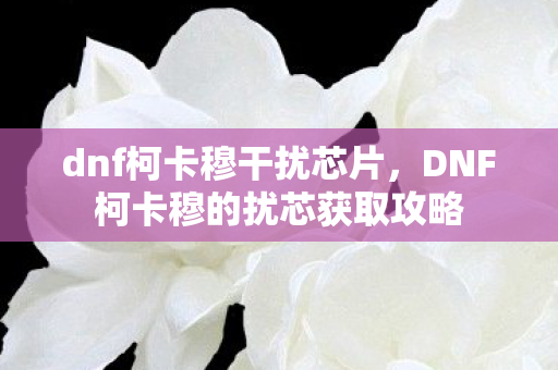 dnf柯卡穆干扰芯片，DNF柯卡穆的扰芯获取攻略