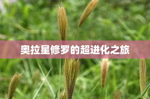 奥拉星修罗的超进化之旅 奥拉星修罗的超进化之旅