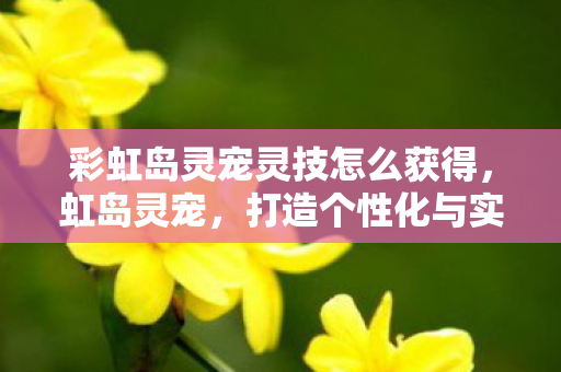 彩虹岛灵宠灵技怎么获得,虹岛灵宠,打造个性化与实用性的完美结合 彩虹岛灵宠灵技怎么获得,虹岛灵宠,打造个性化与实用性的完美结合