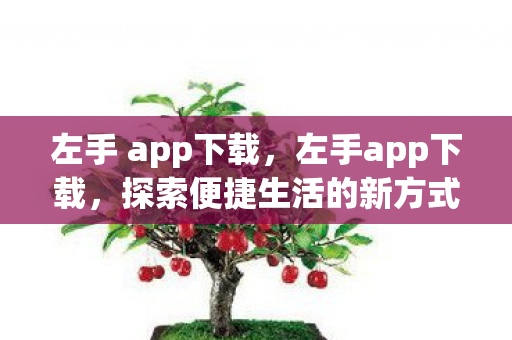 左手 app下载,左手app下载,探索便捷生活的新方式 左手 app下载,左手app下载,探索便捷生活的新方式