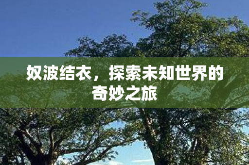 奴波结衣，探索未知世界的奇妙之旅