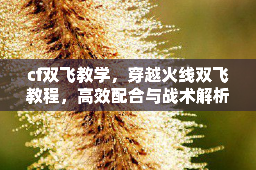 cf双飞教学,穿越火线双飞教程,高效配合与战术解析 cf双飞教学,穿越火线双飞教程,高效配合与战术解析