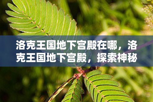 洛克王国地下宫殿在哪,洛克王国地下宫殿,探索神秘王国的隐秘宝藏 洛克王国地下宫殿在哪,洛克王国地下宫殿,探索神秘王国的隐秘宝藏
