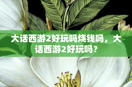 大话西游2好玩吗烧钱吗,大话西游2好玩吗? 大话西游2好玩吗烧钱吗,大话西游2好玩吗?
