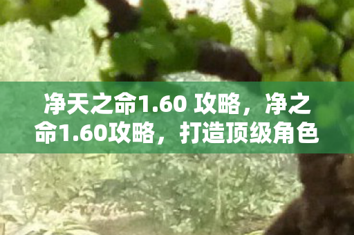 净天之命1.60 攻略,净之命1.60攻略,打造顶级角色的全面指南 净天之命1.60 攻略,净之命1.60攻略,打造顶级角色的全面指南