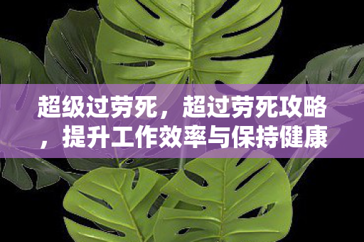超级过劳死,超过劳死攻略,提升工作效率与保持健康平衡的秘籍 超级过劳死,超过劳死攻略,提升工作效率与保持健康平衡的秘籍