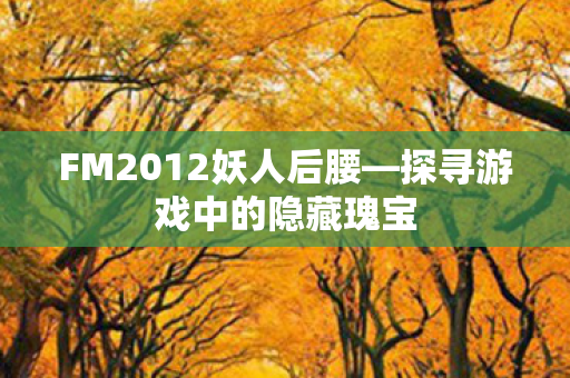 FM2012妖人后腰—探寻游戏中的隐藏瑰宝 FM2012妖人后腰—探寻游戏中的隐藏瑰宝