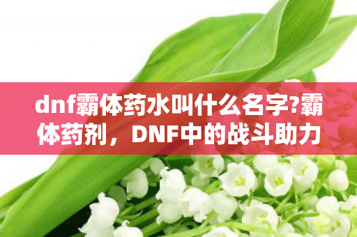 dnf霸体药水叫什么名字?霸体药剂，DNF中的战斗助力