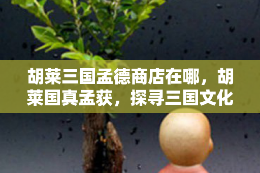 胡莱三国孟德商店在哪,胡莱国真孟获,探寻三国文化的深度与广度 胡莱三国孟德商店在哪,胡莱国真孟获,探寻三国文化的深度与广度