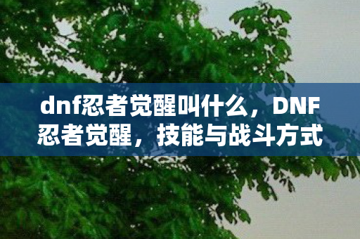 dnf忍者觉醒叫什么，DNF忍者觉醒，技能与战斗方式的革新