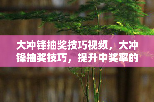 大冲锋抽奖技巧视频,大冲锋抽奖技巧,提升中奖率的实用策略 大冲锋抽奖技巧视频,大冲锋抽奖技巧,提升中奖率的实用策略
