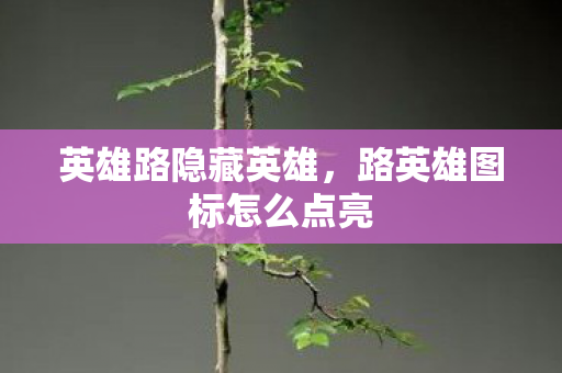 英雄路隐藏英雄，路英雄图标怎么点亮