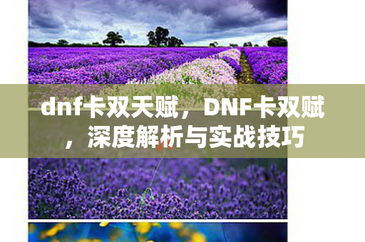 dnf卡双天赋,DNF卡双赋,深度解析与实战技巧 dnf卡双天赋,DNF卡双赋,深度解析与实战技巧