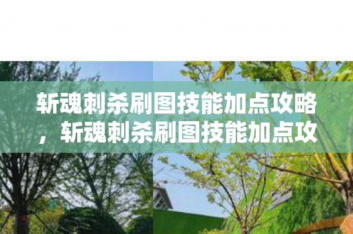 斩魂刺杀刷图技能加点攻略,斩魂刺杀刷图技能加点攻略 斩魂刺杀刷图技能加点攻略,斩魂刺杀刷图技能加点攻略