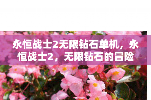 永恒战士2无限钻石单机，永恒战士2，无限钻石的冒险之旅