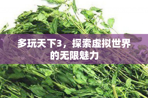 多玩天下3,探索虚拟世界的无限魅力 多玩天下3,探索虚拟世界的无限魅力