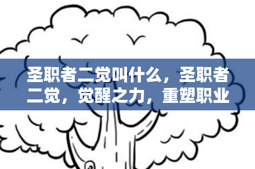圣职者二觉叫什么,圣职者二觉,觉醒之力,重塑职业巅峰 圣职者二觉叫什么,圣职者二觉,觉醒之力,重塑职业巅峰