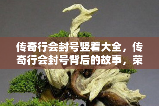 传奇行会封号竖着大全,传奇行会封号背后的故事,荣耀与规则 传奇行会封号竖着大全,传奇行会封号背后的故事,荣耀与规则