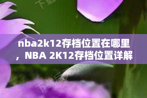 nba2k12存档位置在哪里，NBA 2K12存档位置详解