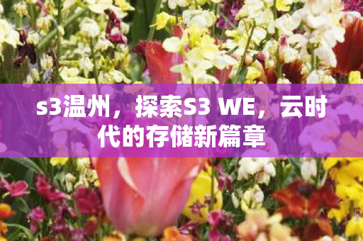 s3温州,探索S3 WE,云时代的存储新篇章 s3温州,探索S3 WE,云时代的存储新篇章