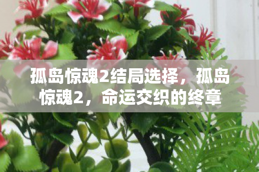孤岛惊魂2结局选择,孤岛惊魂2,命运交织的终章 孤岛惊魂2结局选择,孤岛惊魂2,命运交织的终章