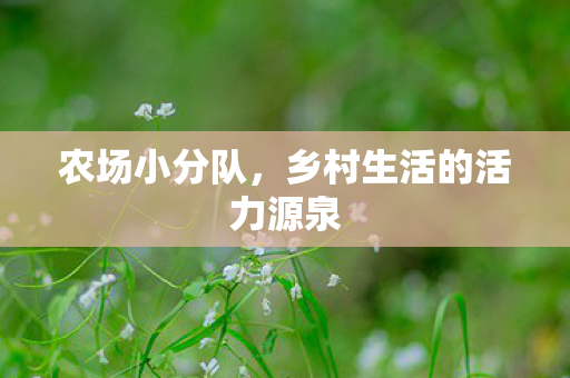 农场小分队,乡村生活的活力源泉 农场小分队,乡村生活的活力源泉