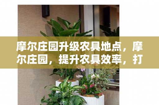 摩尔庄园升级农具地点,摩尔庄园,提升农具效率,打造高效农场 摩尔庄园升级农具地点,摩尔庄园,提升农具效率,打造高效农场