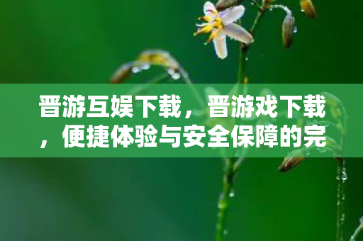 晋游互娱下载,晋游戏下载,便捷体验与安全保障的完美结合 晋游互娱下载,晋游戏下载,便捷体验与安全保障的完美结合