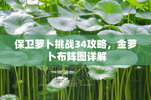 保卫萝卜挑战34攻略,金萝卜布阵图详解 保卫萝卜挑战34攻略,金萝卜布阵图详解