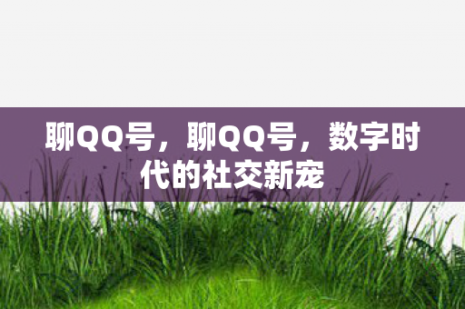 聊QQ号,聊QQ号,数字时代的社交新宠 聊QQ号,聊QQ号,数字时代的社交新宠