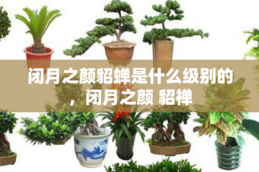 闭月之颜貂蝉是什么级别的,闭月之颜 貂禅 闭月之颜貂蝉是什么级别的,闭月之颜 貂禅