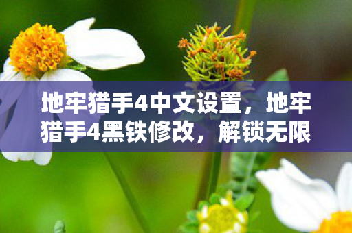 地牢猎手4中文设置,地牢猎手4黑铁修改,解锁无限可能的装备强化之路 地牢猎手4中文设置,地牢猎手4黑铁修改,解锁无限可能的装备强化之路