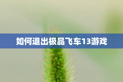 如何退出极品飞车13游戏