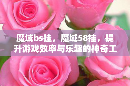 魔域bs挂,魔域58挂,提升游戏效率与乐趣的神奇工具 魔域bs挂,魔域58挂,提升游戏效率与乐趣的神奇工具