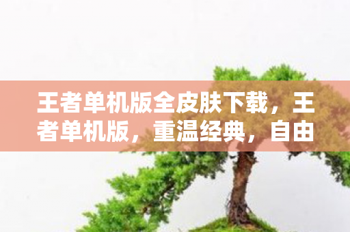 王者单机版全皮肤下载,王者单机版,重温经典,自由探索的单机王者之旅 王者单机版全皮肤下载,王者单机版,重温经典,自由探索的单机王者之旅