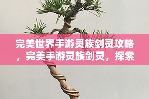 完美世界手游灵族剑灵攻略,完美手游灵族剑灵,探索神秘世界的剑与灵的交织 完美世界手游灵族剑灵攻略,完美手游灵族剑灵,探索神秘世界的剑与灵的交织