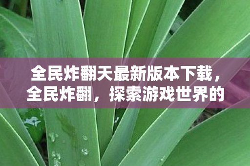 全民炸翻天最新版本下载,全民炸翻,探索游戏世界的无限可能 全民炸翻天最新版本下载,全民炸翻,探索游戏世界的无限可能