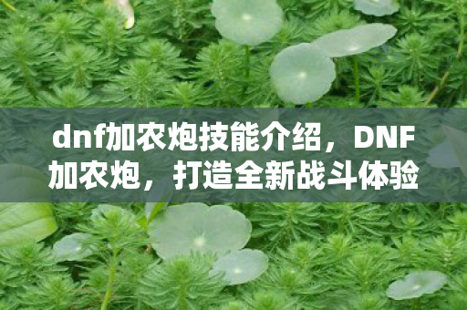 dnf加农炮技能介绍,DNF加农炮,打造全新战斗体验 dnf加农炮技能介绍,DNF加农炮,打造全新战斗体验