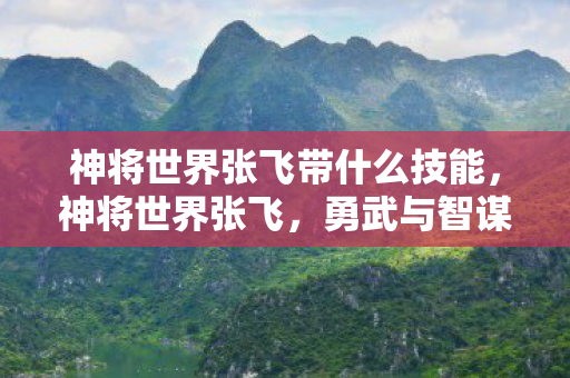 神将世界张飞带什么技能，神将世界张飞，勇武与智谋并重的三国豪杰