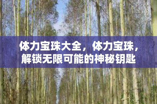 体力宝珠大全,体力宝珠,解锁无限可能的神秘钥匙 体力宝珠大全,体力宝珠,解锁无限可能的神秘钥匙