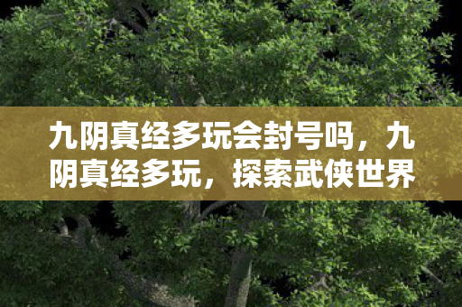 九阴真经多玩会封号吗,九阴真经多玩,探索武侠世界的无限可能 九阴真经多玩会封号吗,九阴真经多玩,探索武侠世界的无限可能
