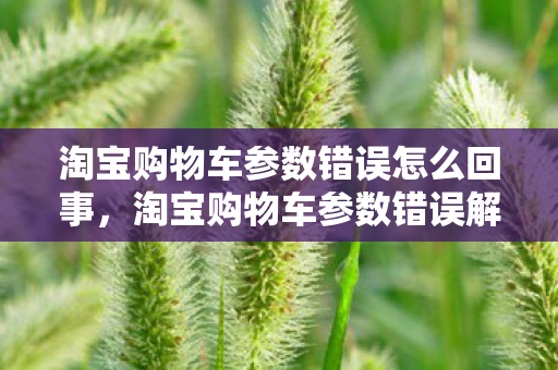 淘宝购物车参数错误怎么回事,淘宝购物车参数错误解析,如何避免与解决 淘宝购物车参数错误怎么回事,淘宝购物车参数错误解析,如何避免与解决