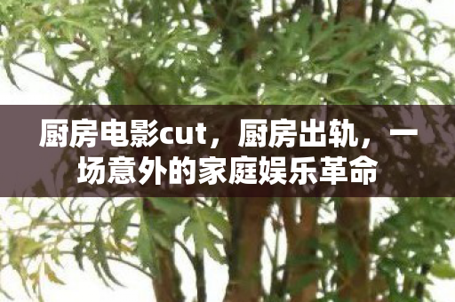 厨房电影cut,厨房出轨,一场意外的家庭娱乐革命 厨房电影cut,厨房出轨,一场意外的家庭娱乐革命